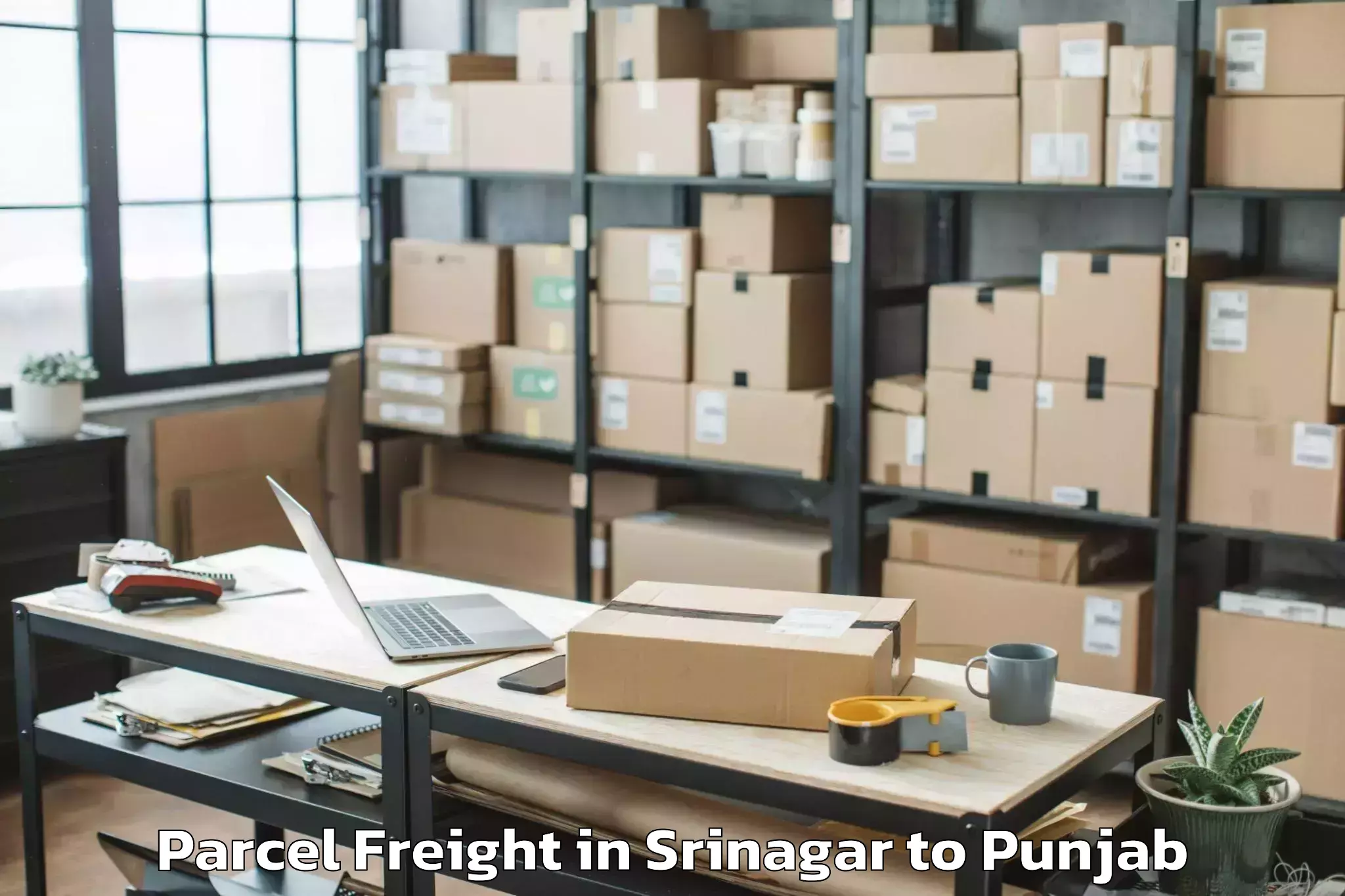 Book Srinagar to Dasuya Parcel Freight Online